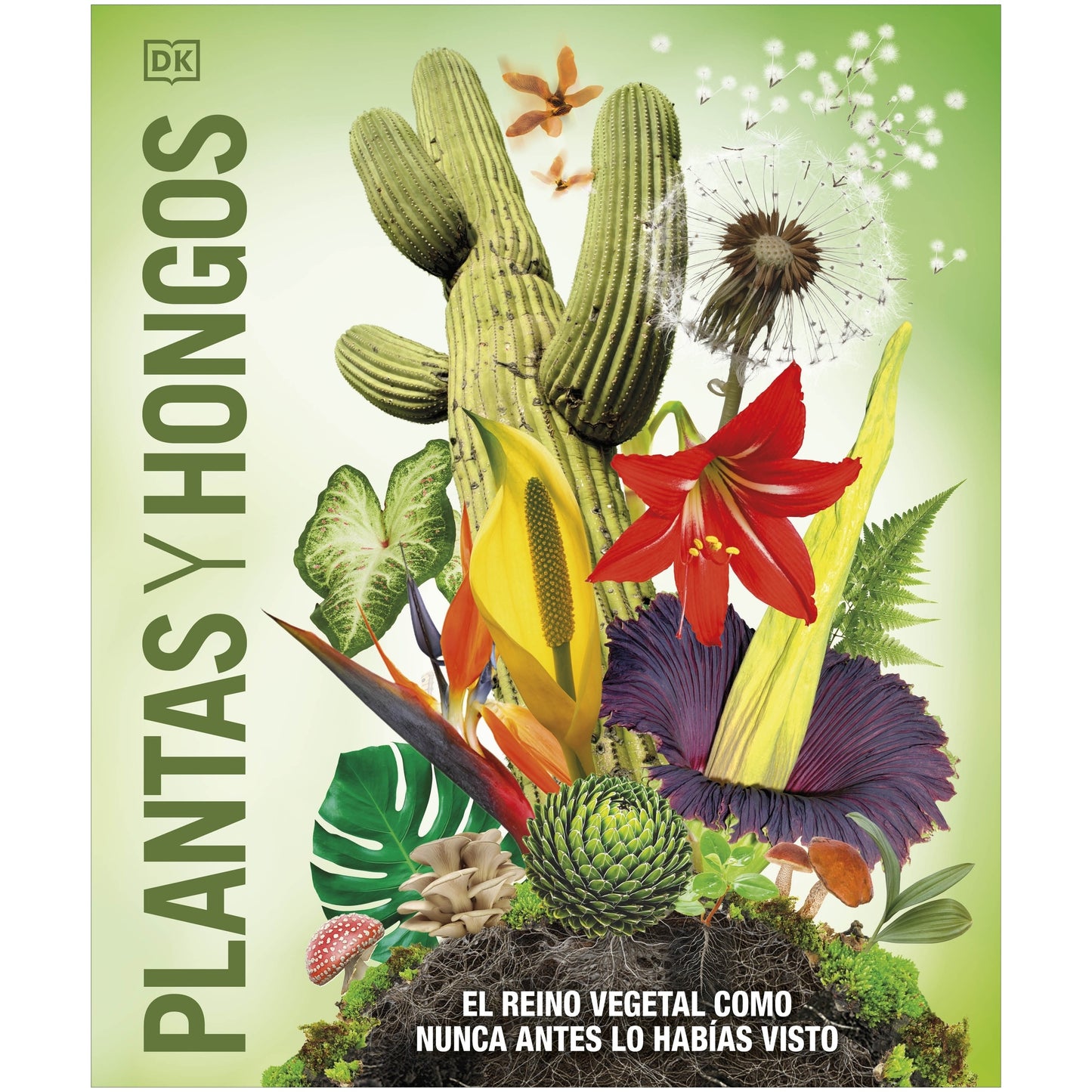 PLANTAS Y HONGOS (TAPA DURA) - VV. AA. | LIBRO