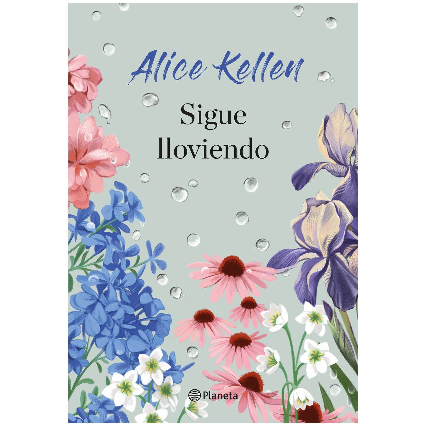 SIGUE LLOVIENDO (TAPA BLANDA) - ALICE KELLEN | LIBRO