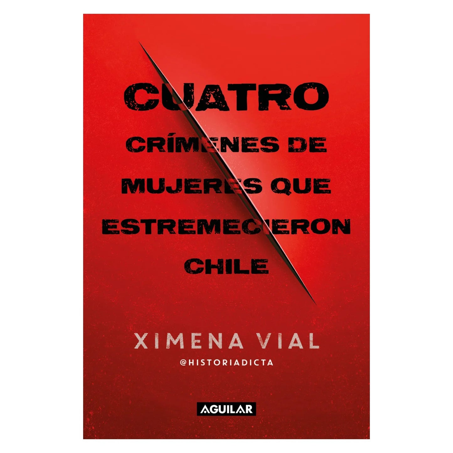 CUATRO CRIMENES DE MUJERES QUE ESTREMECIERÓN CHILE (TAPA BLANDA) - XIMENA VIAL LECAROS | LIBRO