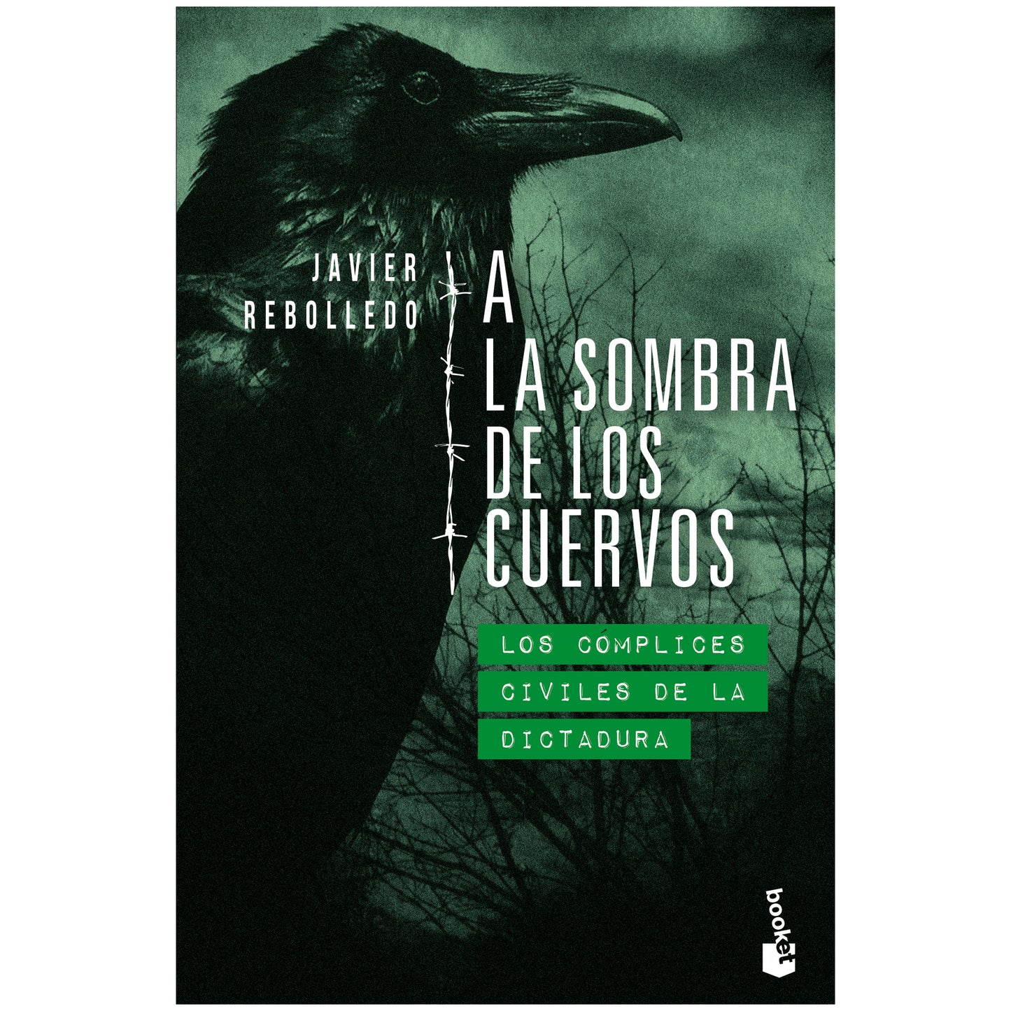 A LA SOMBRA DE LOS CUERVOS (TAPA RUSTICA ) - JAVIER REBOLLEDO | LIBRO