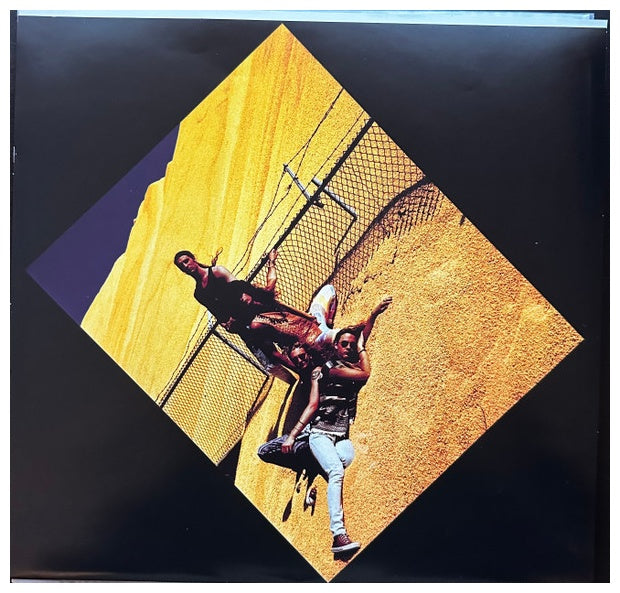 ALICE IN CHAINS - FACELIFT (2LP) | VINILO