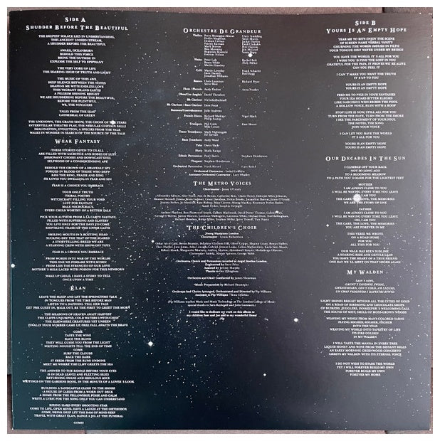 NIGHTWISH - ENDLESS FORMS MOST BEAUTIFUL (2LP) (CLEAR GOLD & BLACK VINYL) | VINILO