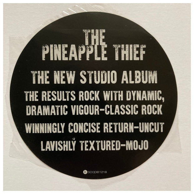 PINEAPPLE THIEF - IT LEADS TO THIS | VINILO