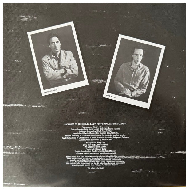 DON HENLEY - I CAN'T STAND STILL | VINILO