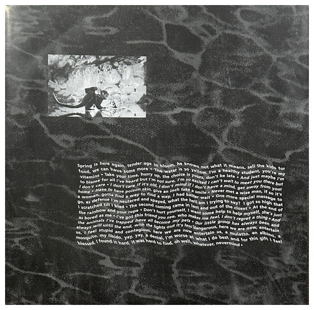 NIRVANA - NEVERMIND (EXCLUSIVE LTD EDITION) (METALLIC SILVER VINYL) | VINILO