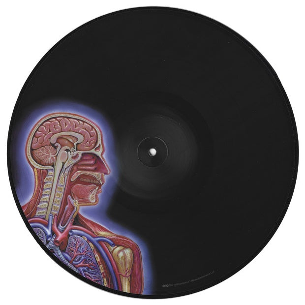 TOOL - LATERALUS (2LP) (PICTURE DISC) (4 IMAGES/HOLOGRAPHIC GATEFOLD) | VINILO