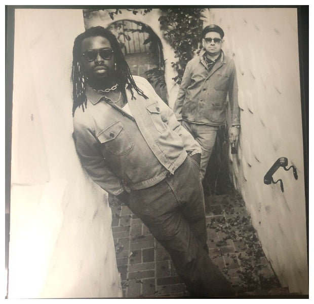 BLACK PUMAS - CHRONICLES OF A DIAMOND (RED & GOLD VINYL) | VINILO