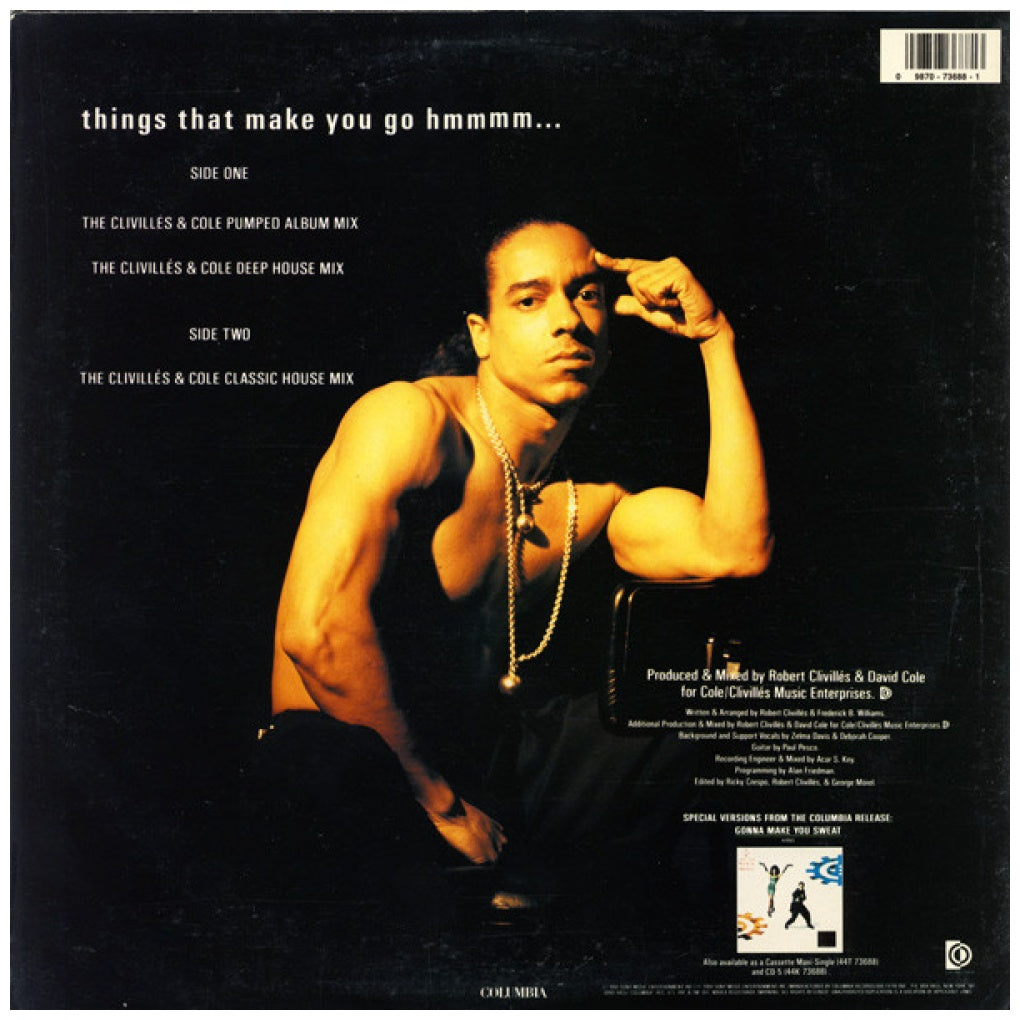 C&C MUSIC FACTORY - THINGS THAT MAKE YOU GO HMMMM…(VDE-NUEVO/SELLADO) | 12" MAXI SINGLE VINILO USADO
