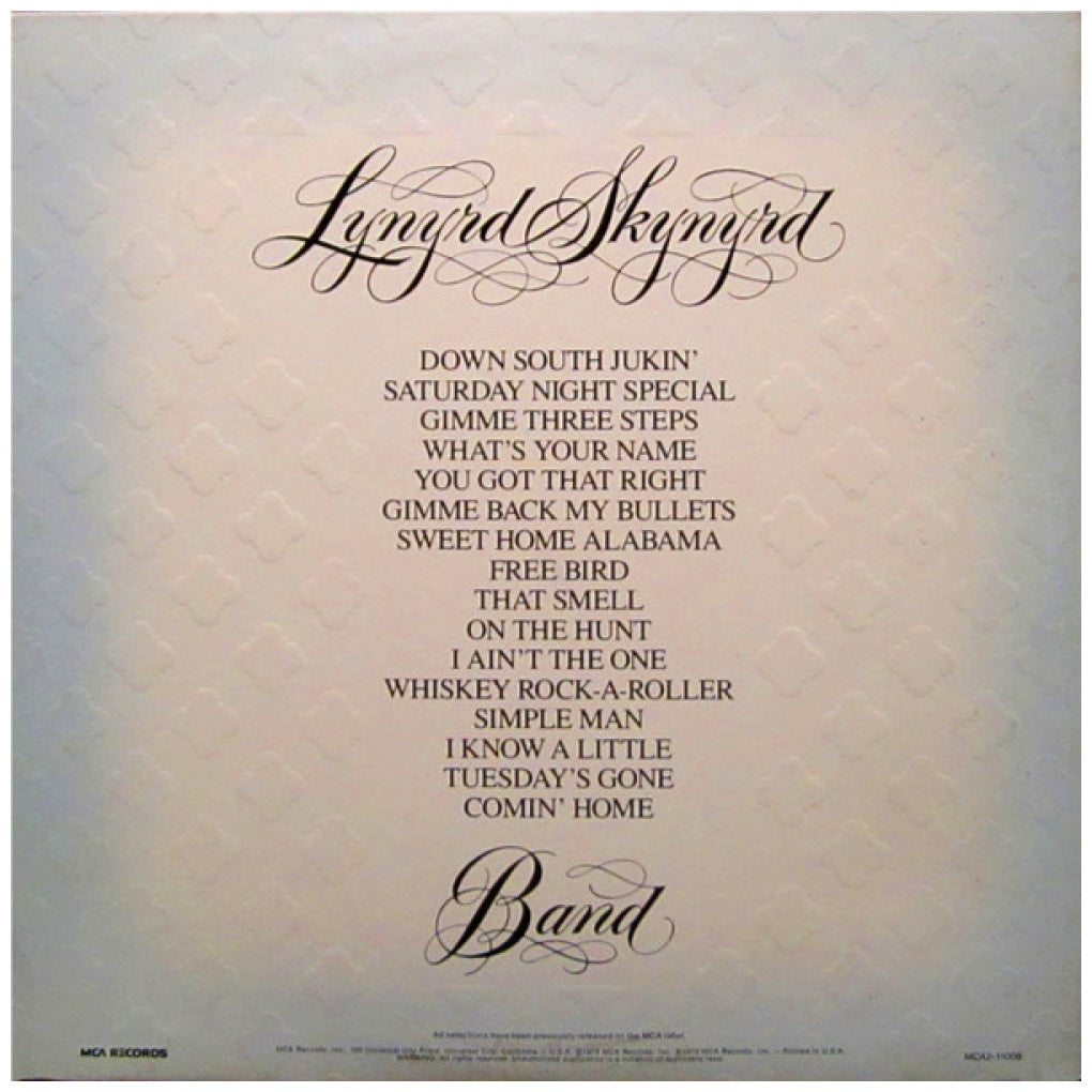 LYNYRD SKYNYRD BANG - GOLD & PLATINUM (2LP) | VINILO USADO