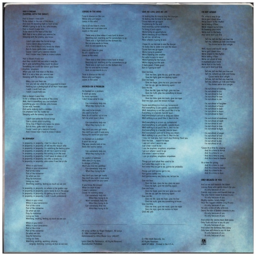 ROGER HODGSON - IN THE EYE OF THE STORM | VINILO USADO