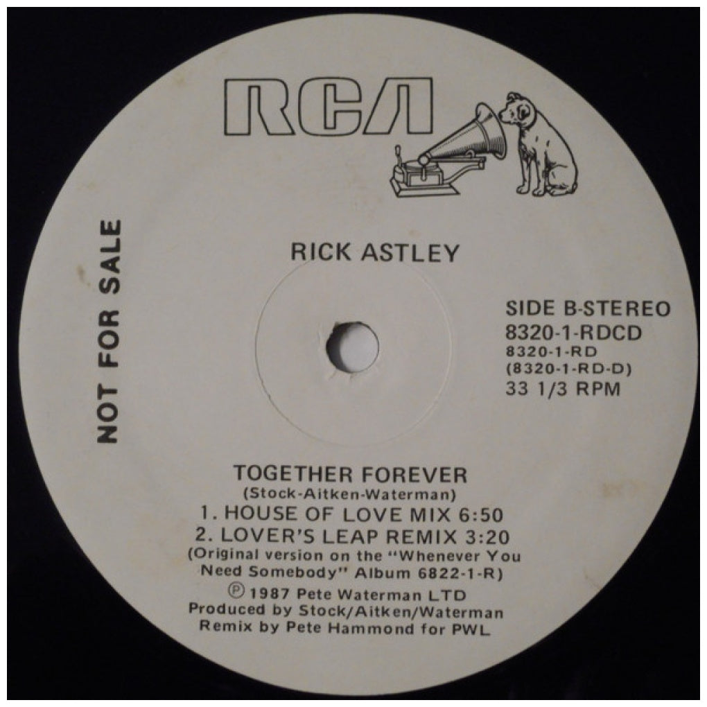 RICK ASTLEY - TOGETHER FOREVER | 12" MAXI SINGLE VINILO USADO
