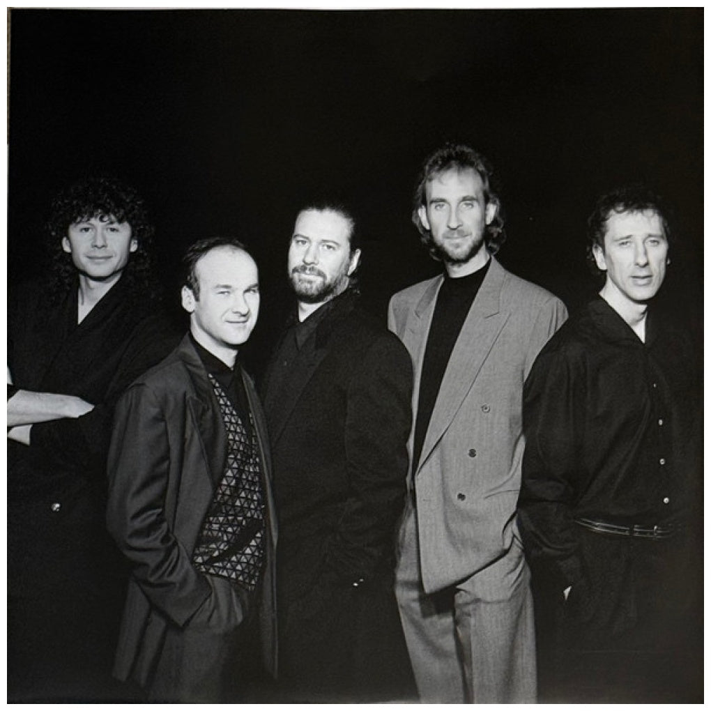 MIKE + THE MECHANICS - LOOKING BACK - LIVING YEARS: BEST OF (2LP) | VINILO