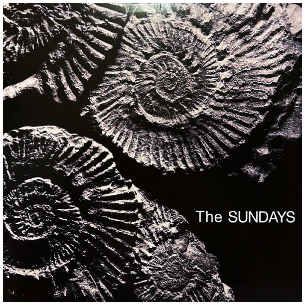 THE SUNDAYS - READING, WRITING & ARITHMETIC (GREY VINYL) | VINILO