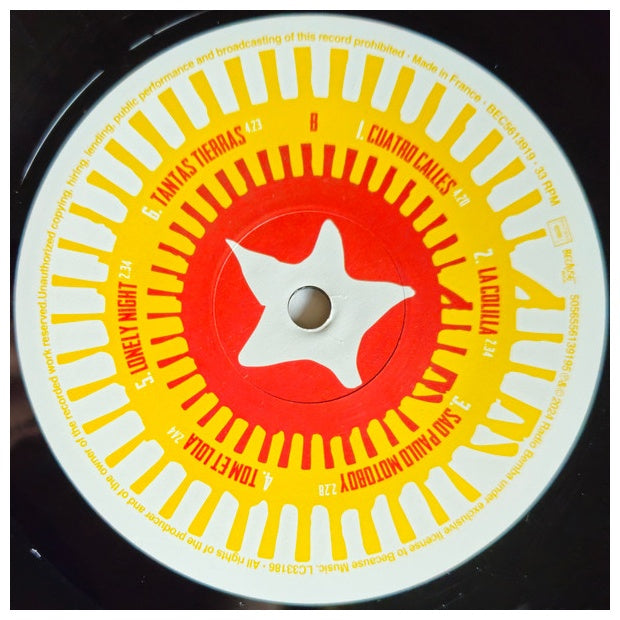 MANU CHAO - VIVA TU | VINILO