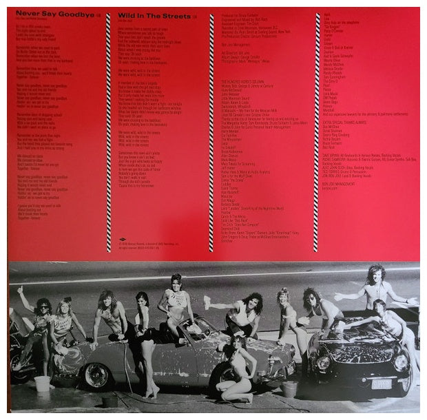 BON JOVI - SLIPPERY WHEN WET | VINILO
