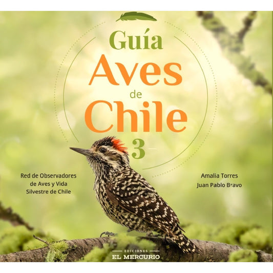 GUIA AVES DE CHILE 3 (TAPA RUSTICA) - RED DE OBSERVARORES DE AVES / AMALIA TORRES; JUAN PABLO BRAVO | LIBRO