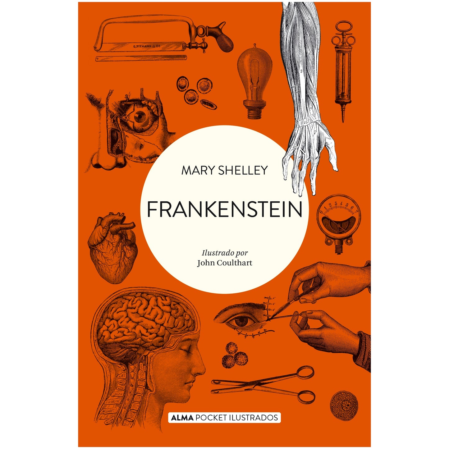 FRANKENSTEIN (POCKET) (TAPA RUSTICA) - MARY SHELLEY | LIBRO