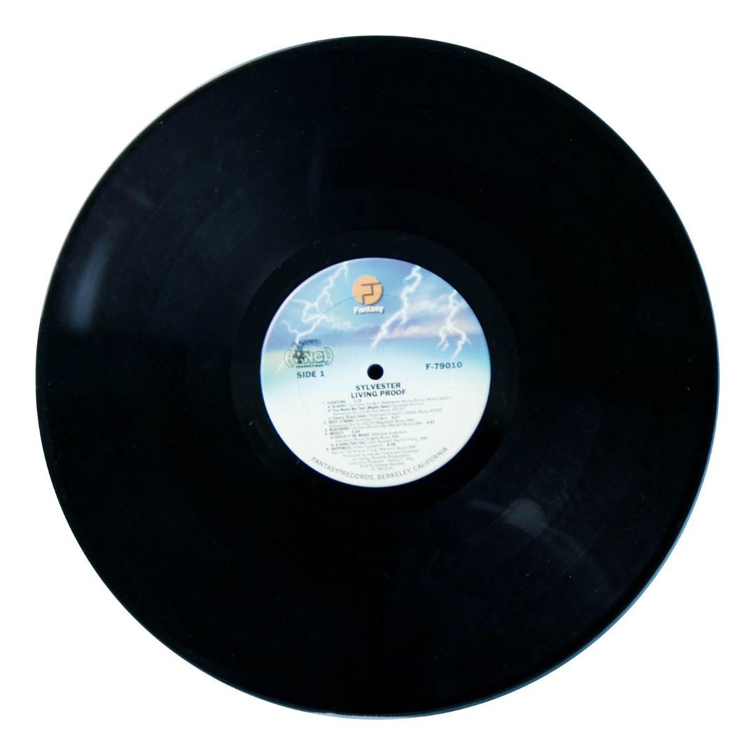 SYLVESTER - LIVING PROOF (2LP) | VINILO USADO