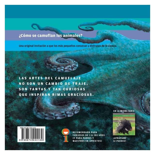 ENCUÉNTRAME SI PUEDES (CARTONÉ) - MARÍA MARTÍN; ILEANA LOTERSZTAIN | LIBRO