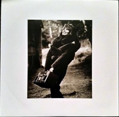 TINA TURNER - SIMPLY THE BEST (2LP) | VINILO