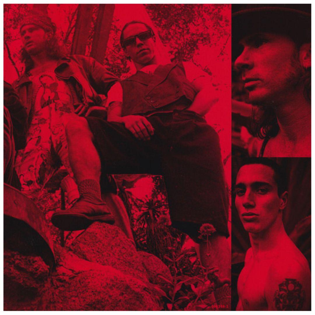 RED HOT CHILI PEPPERS - BLOOD SUGAR SEX MAGIK (2LP) | VINILO