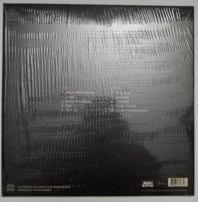 BLACK PUMAS - BLACK PUMAS | VINILO