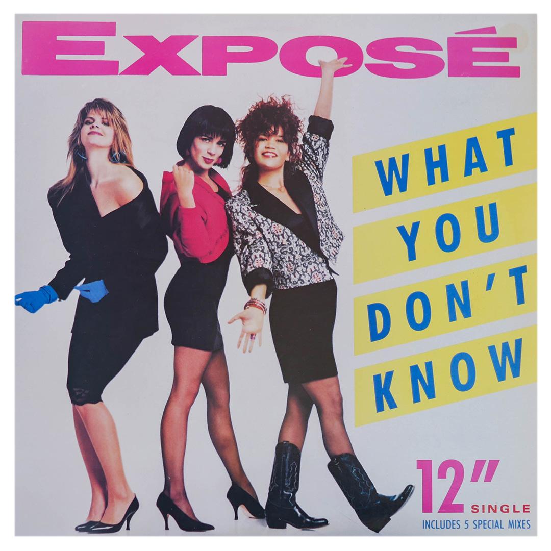 EXPOSE - WHAT YOU DONT KNOW | 12 MAXI SINGLE USADO