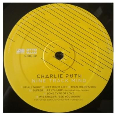 CHARLIE PUTH - NINE TRACK MIND | VINILO