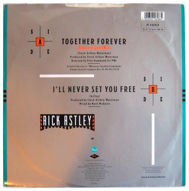 RICK ASTLEY - TOGETHER FOREVER (HOUSE REMIX) | 12" MAXI SINGLE USADO