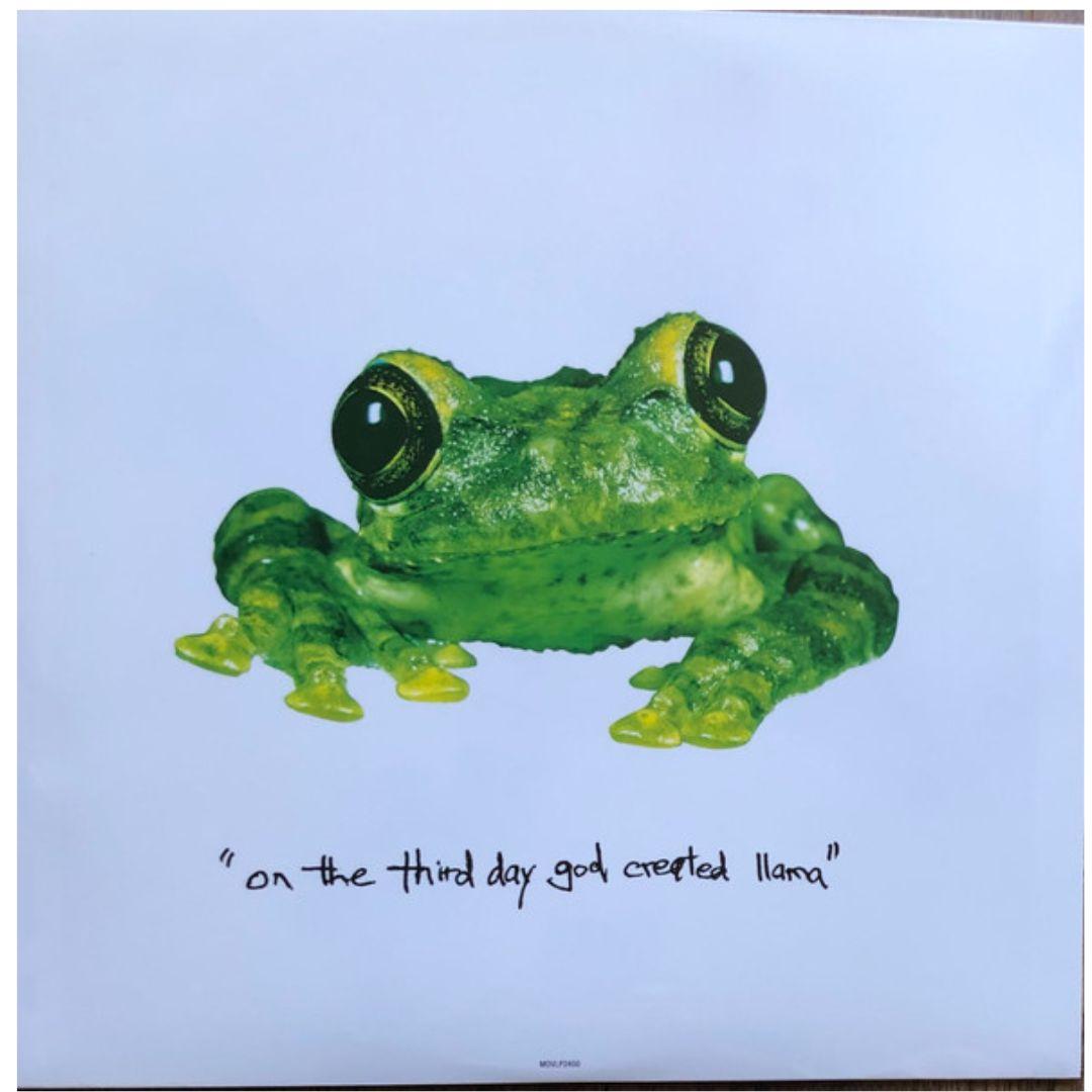 SILVERCHAIR - FROGSTOMP (CLEAR VINYL) (2LP) | VINILO