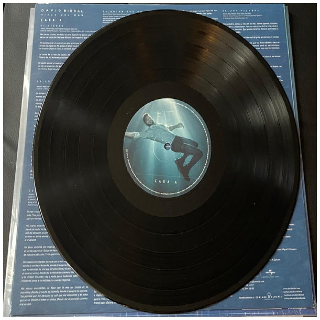DAVID BISBAL - HIJOS DEL MAR | VINILO