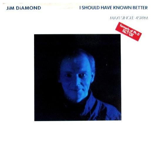 JIM DIAMOND - I SHOULD HAVE KNOWN BETTER | 12" MAXI SINGLE USADO