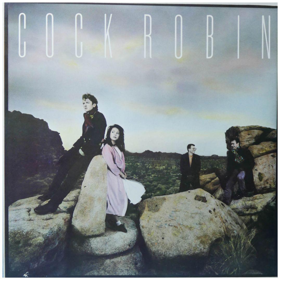 COCK ROBIN - COCK ROBIN | VINILO USADO