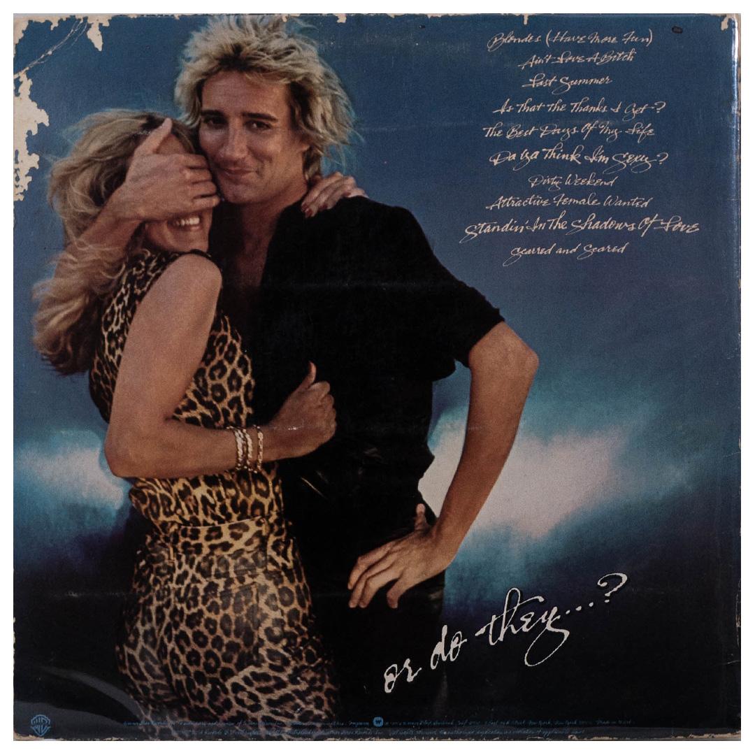 ROD STEWART - BLONDES HAVE MORE FUN | VINILO USADO