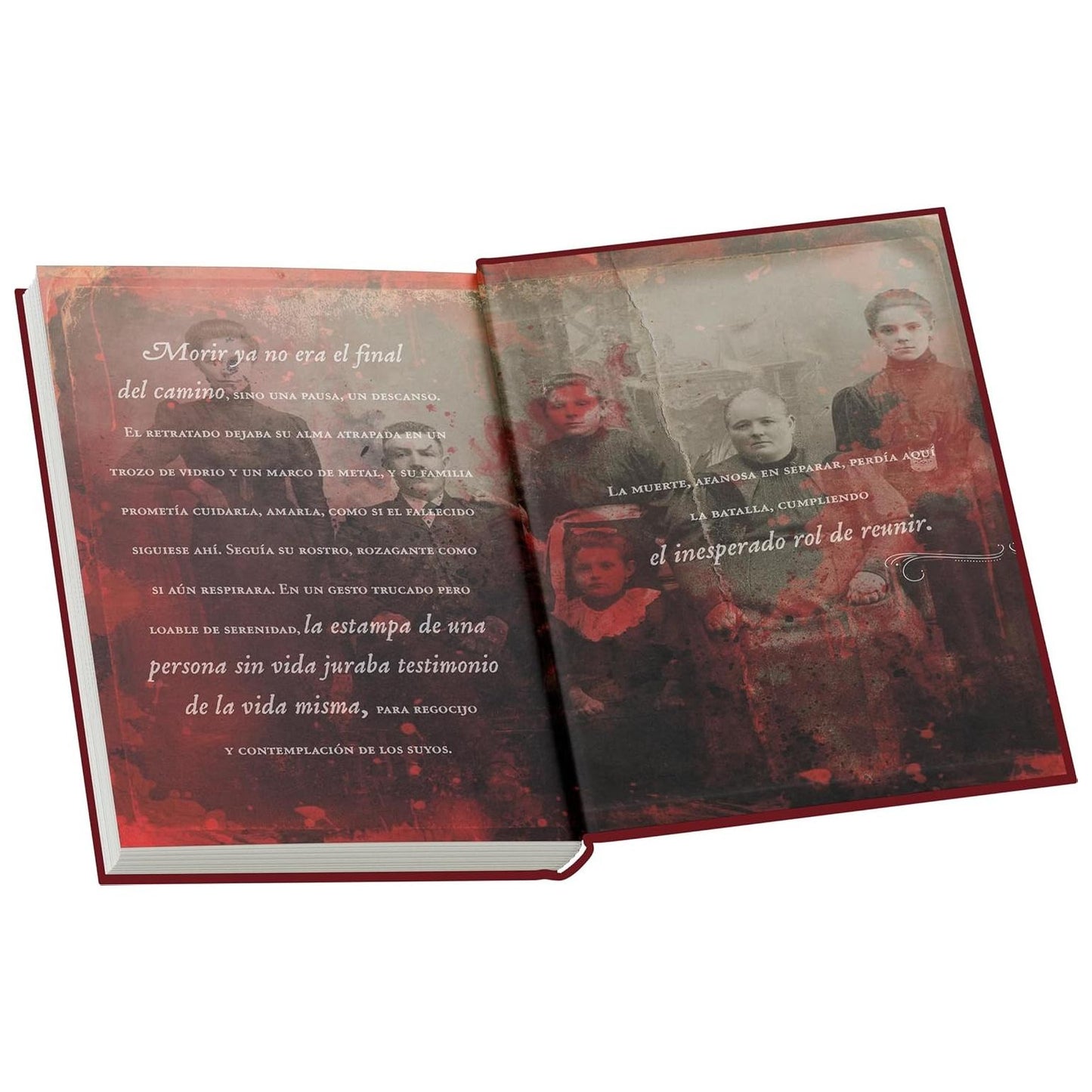 ÚLTIMOS DÍAS DE CLAYTON & CO., LOS - EDICIÓN ESPECIAL (TAPA DURA) - FRANCISCA SOLAR | LIBRO