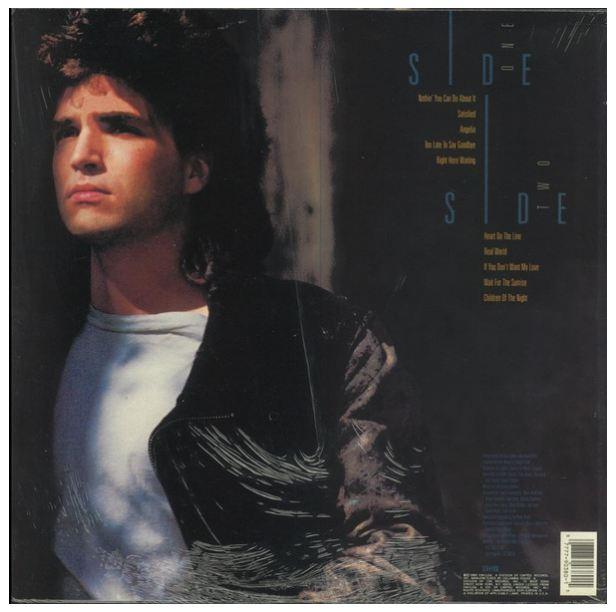 RICHARD MARX - REPEAT OFFENDER | VINILO USADO