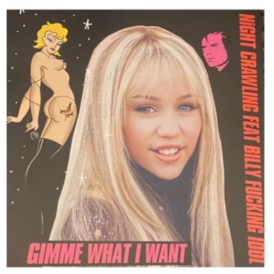 MILEY CYRUS - PLASTIC HEARTS (2LP) | VINILO
