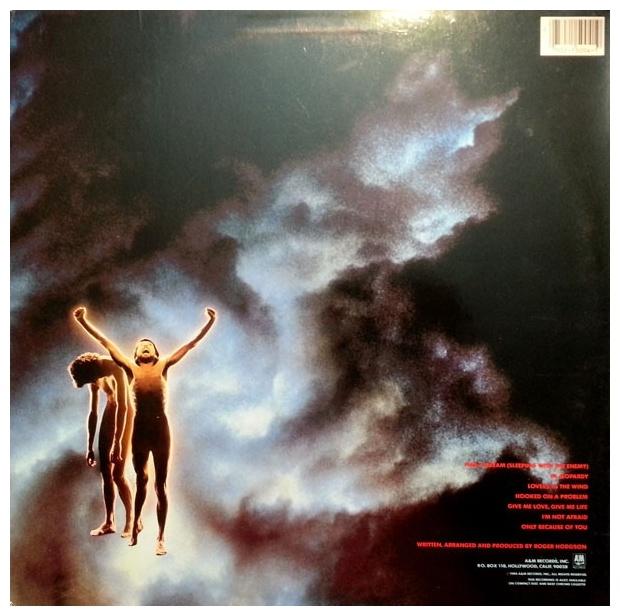 ROGER HODGSON - IN THE EYE OF THE STORM | VINILO USADO