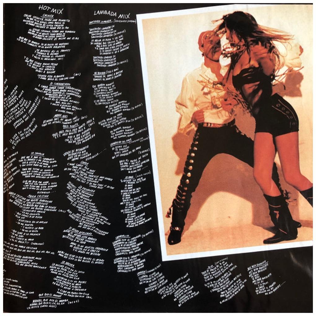 GARIBALDI - QUE TE LA PONGO | VINILO USADO