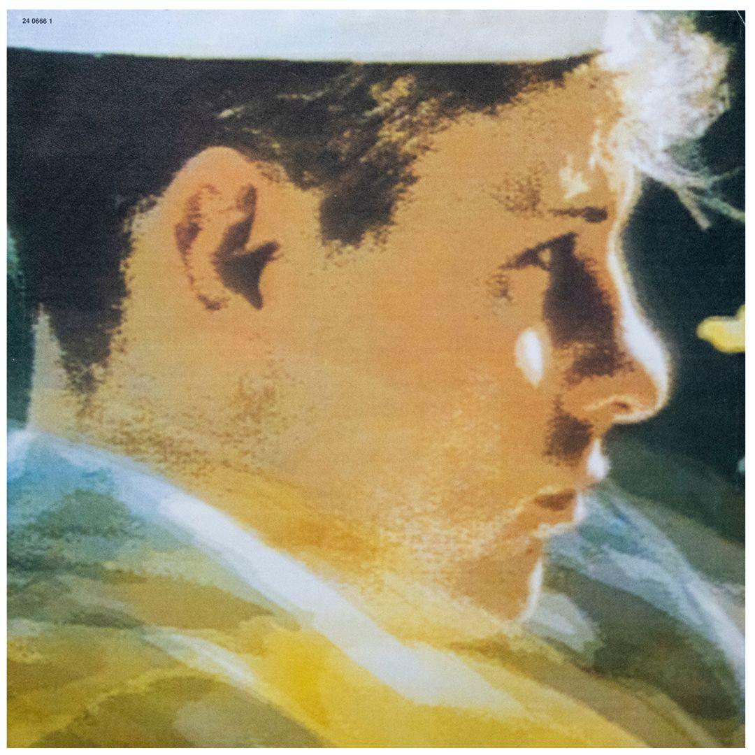 PET SHOP BOYS - DISCO | VINILO USADO
