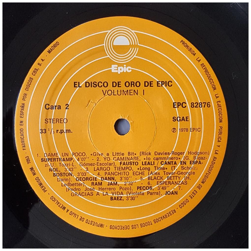 EL DISCO DE ORO DE EPIC - VARIOS ARTISTAS VOL.1 | VINILO USADO