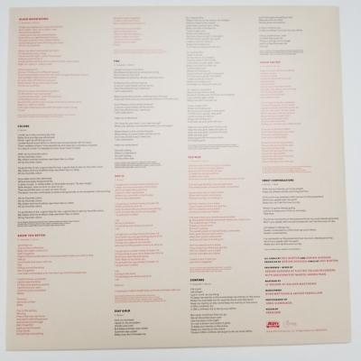 BLACK PUMAS - BLACK PUMAS | VINILO