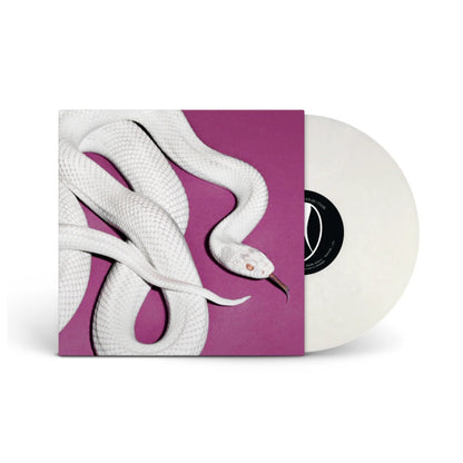 DEFTONES - PRIVATE MUSIC (FOG WHITE VINYL) (ALTERNATE COVER) | VINILO