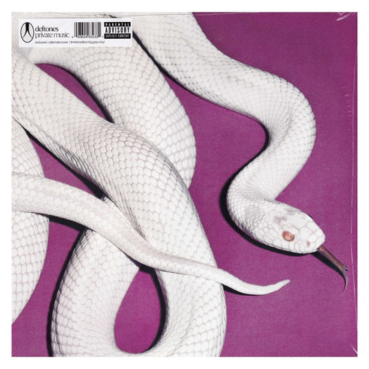 DEFTONES - PRIVATE MUSIC (FOG WHITE VINYL) (ALTERNATE COVER) | VINILO