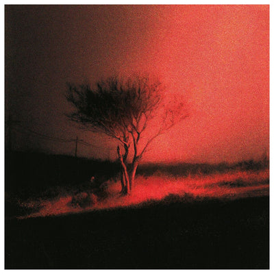 (PREVENTA)  JOJI - PISS IN THE WIND (LP) | VINILO