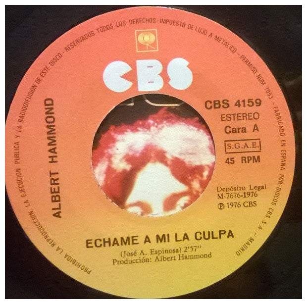 ALBERT HAMMOND - ECHAME A MI LA CULPA | 7" SINGLE USADO