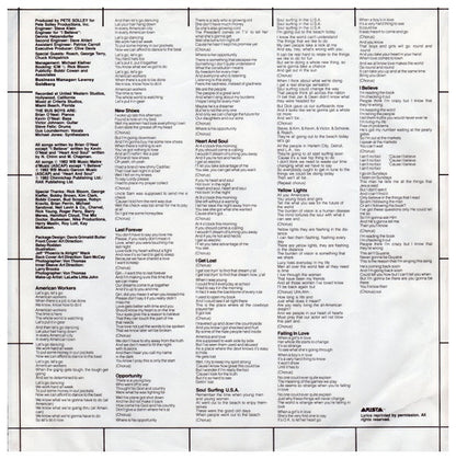 BUS BOYS - AMERICAN WORKER | VINILO USADO