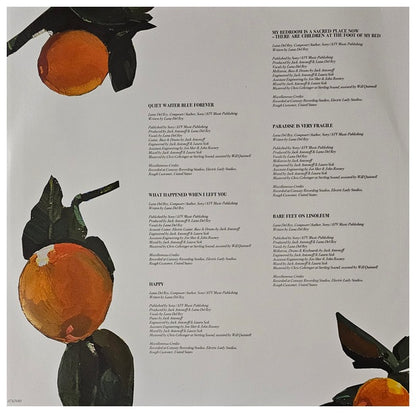 LANA DEL REY - VIOLET BENT BACKWARDS OVER THE GRASS | VINILO