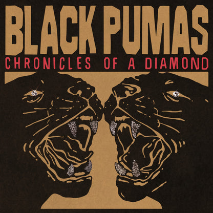 BLACK PUMAS - CHRONICLES OF A DIAMOND (CLEAR VINYL) | VINILO