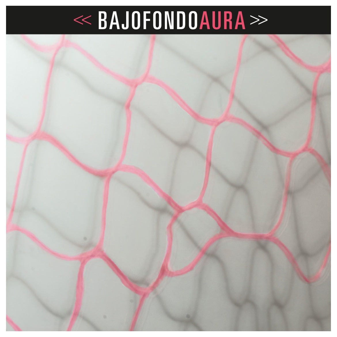 BAJOFONDO - AURA (2LP) | VINILO